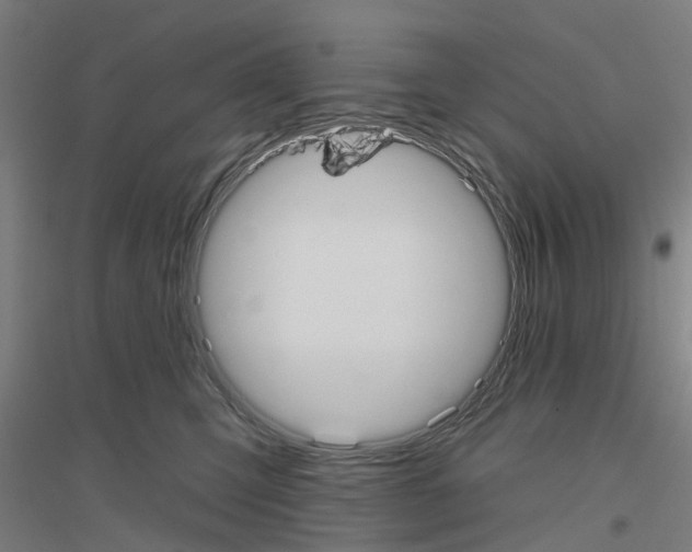 X0000116830423201001291647