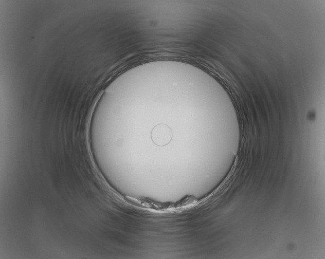 X0000116830425201001291647