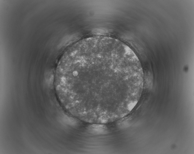 X0000116830427201001291647