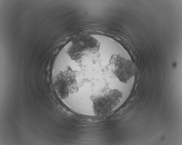 X0000116830428201001291647