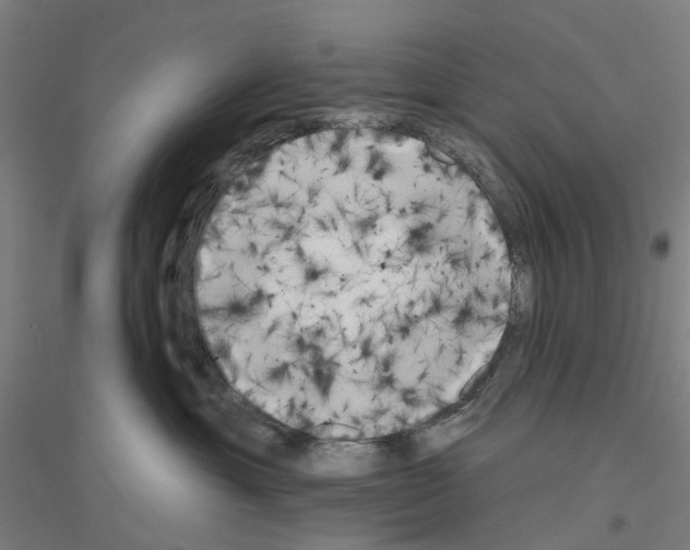 X0000116830429201001291647