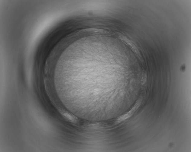 X0000116830430201001291647