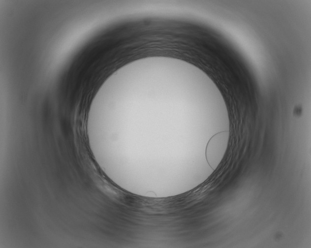 X0000116830431201001291647