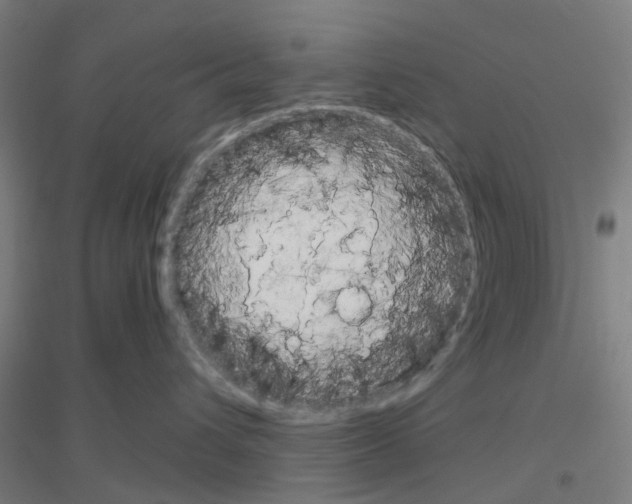 X0000116830432201001291647