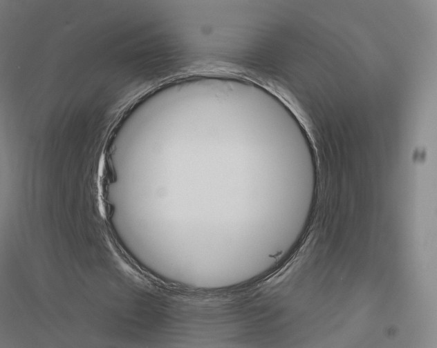 X0000116830433201001291646