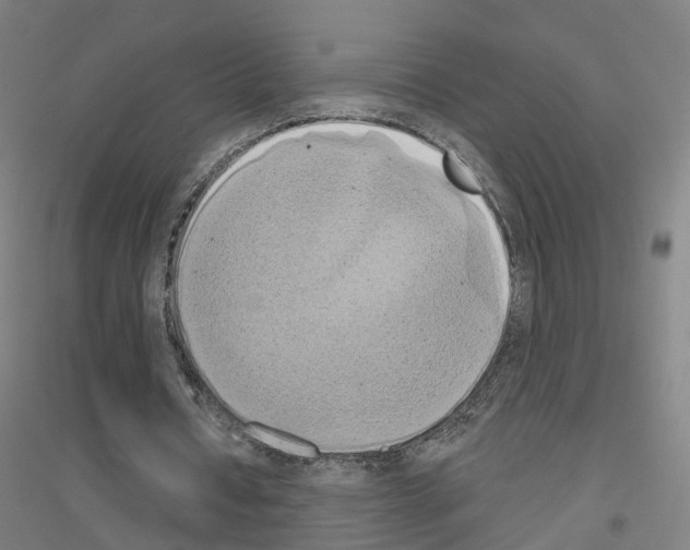 X0000116830434201001291646