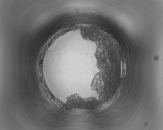 X0000116830435201001291646