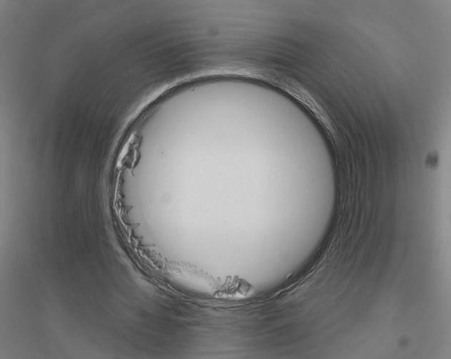 X0000116830436201001291646