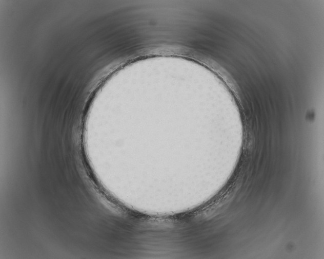 X0000116830437201001291646