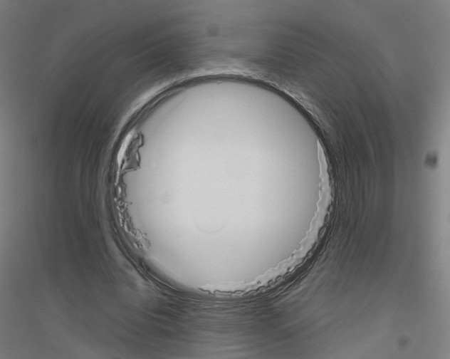 X0000116830440201001291646