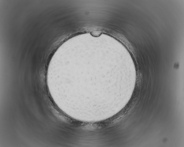 X0000116830441201001291646