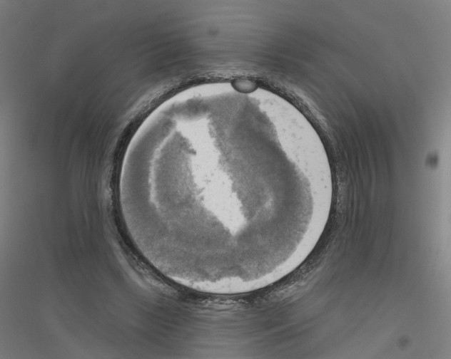 X0000116830443201001291646