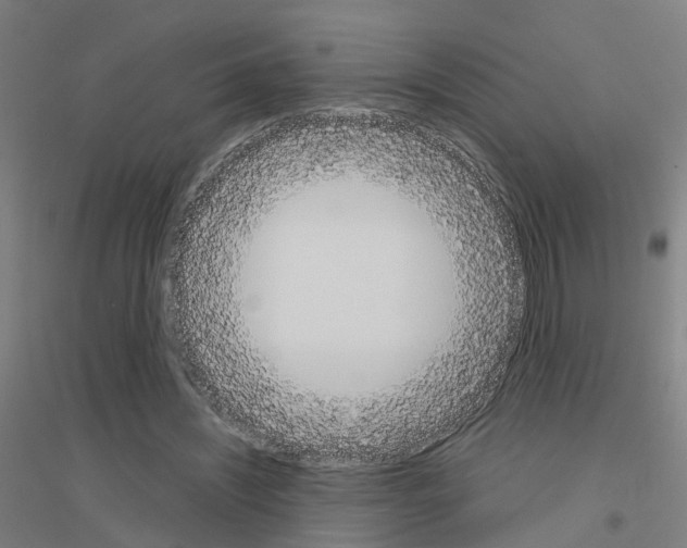 X0000116830444201001291646