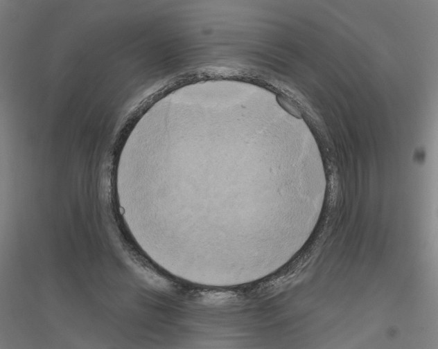 X0000116830446201001291646