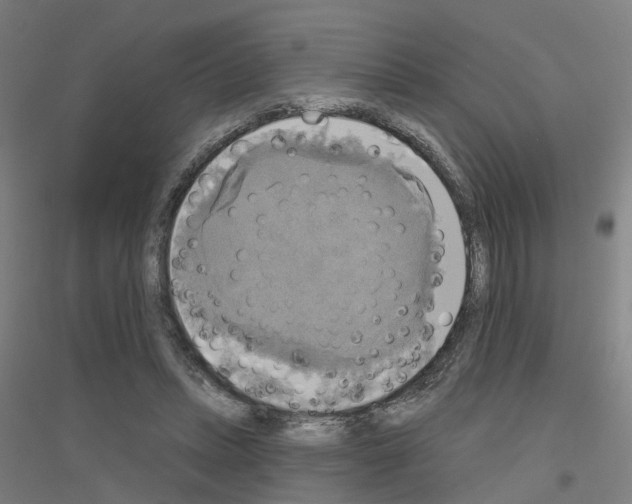 X0000116830447201001291646