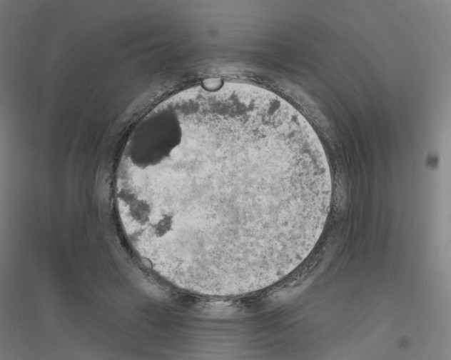 X0000116830449201001291646