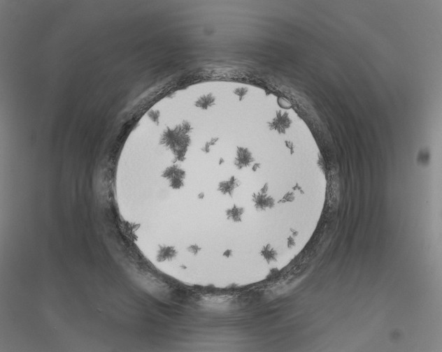 X0000116830450201001291646