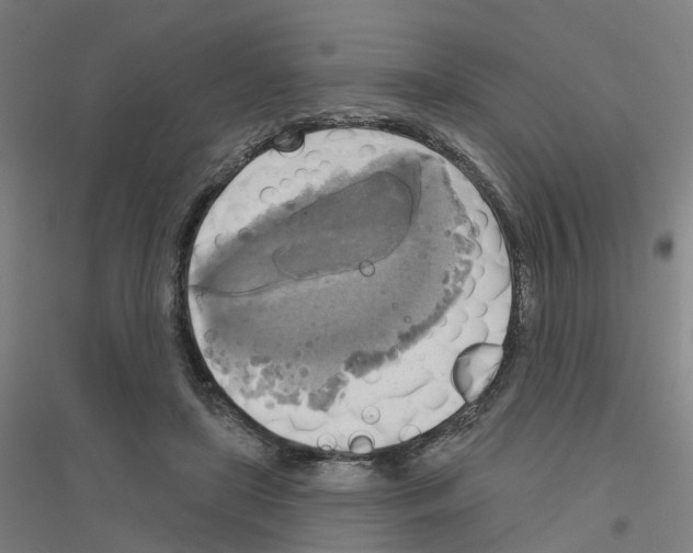 X0000116830451201001291646