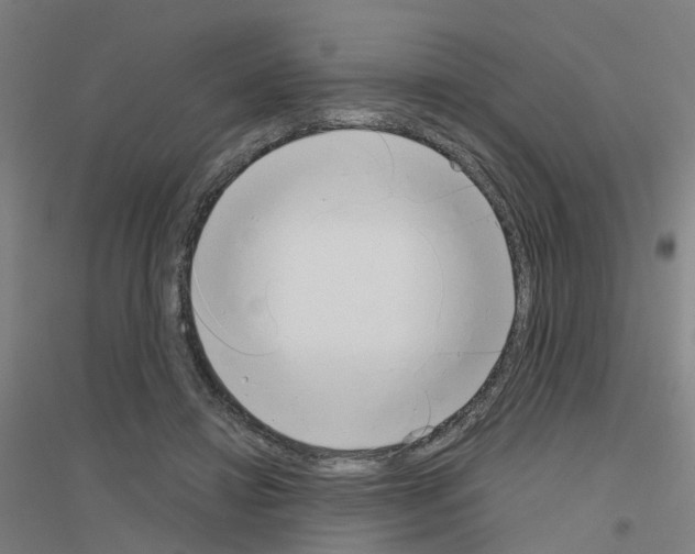 X0000116830452201001291646