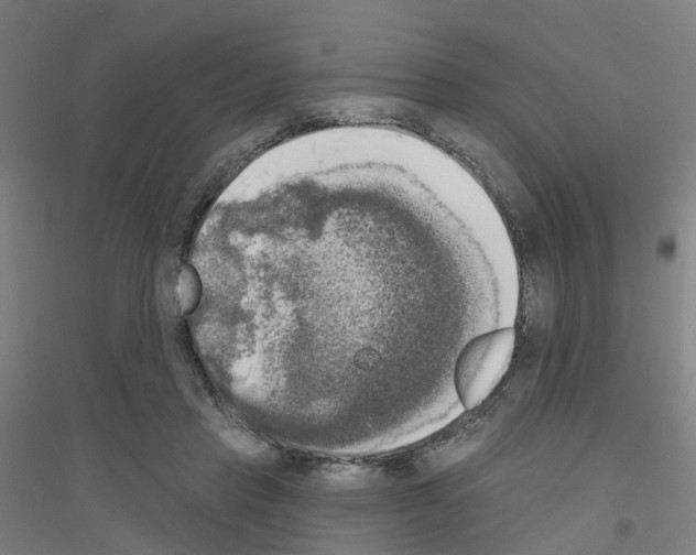 X0000116830453201001291646