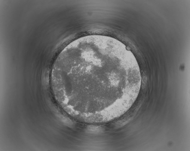 X0000116830454201001291646