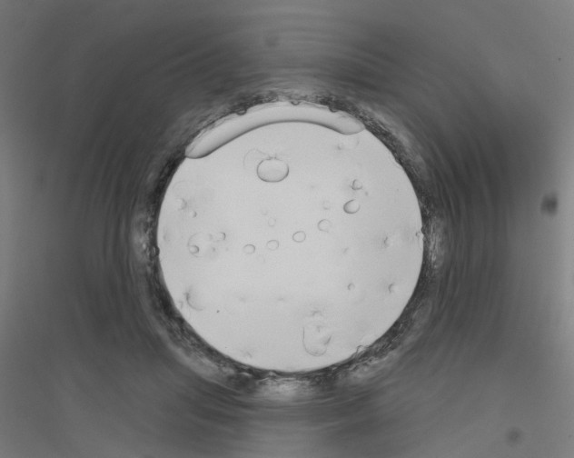 X0000116830455201001291646