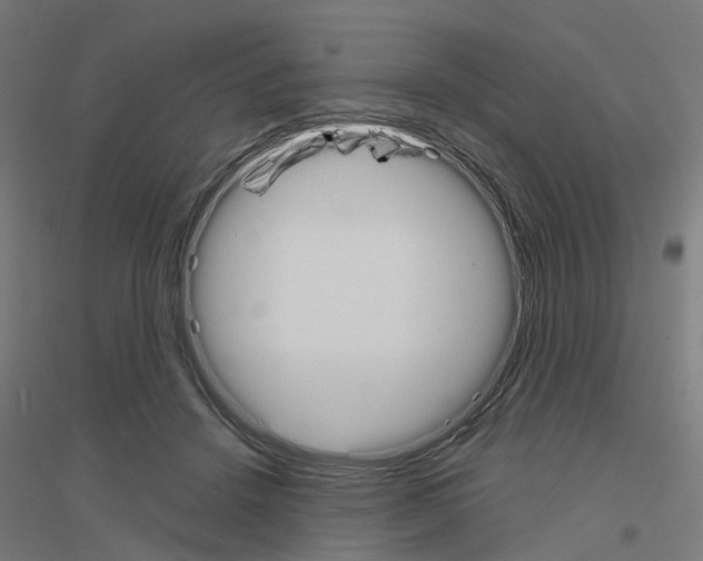 X0000116830456201001291646