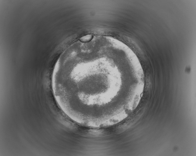 X0000116830457201001291646