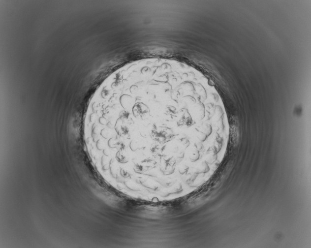 X0000116830458201001291646