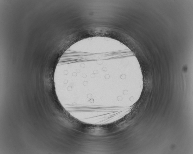 X0000116830460201001291647