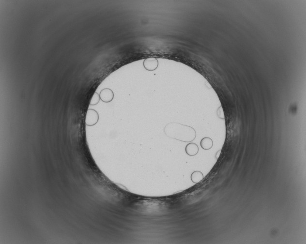 X0000116830464201001291647