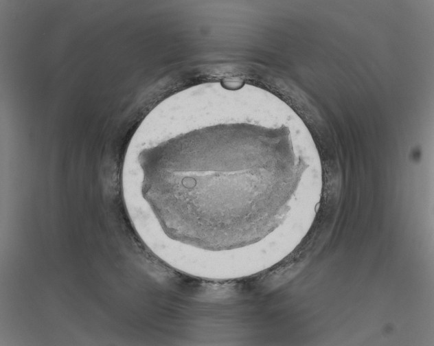 X0000116830469201001291647