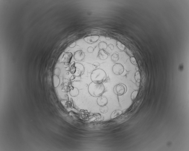 X0000116830470201001291647