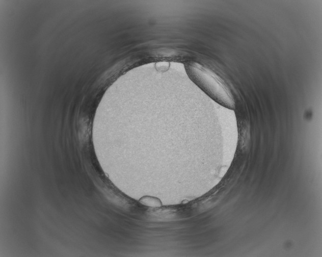 X0000116830476201001291647