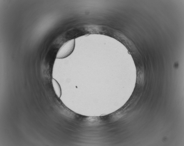 X0000116830477201001291647