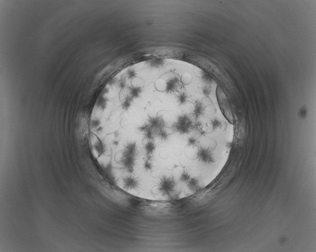 X0000116830478201001291647