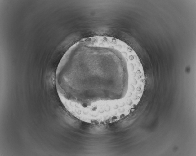 X0000116830479201001291647