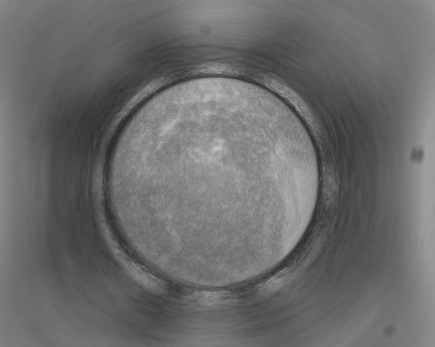 X0000116830482201001291646