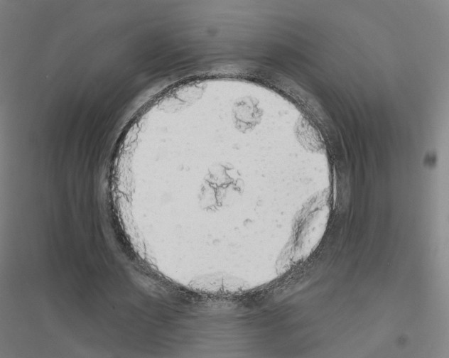 X0000116830483201001291646