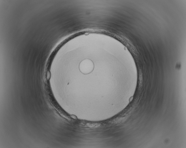 X0000116830484201001291646