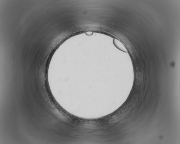 X0000116830485201001291646