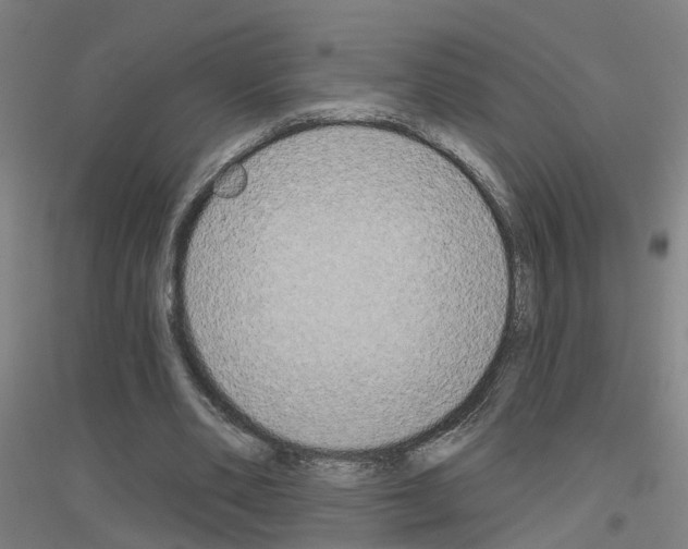 X0000116830486201001291646