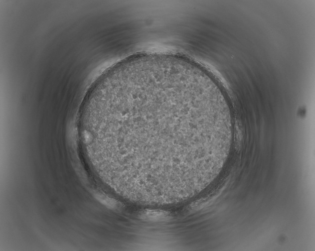 X0000116830487201001291646