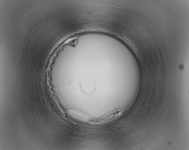 X0000116830488201001291646