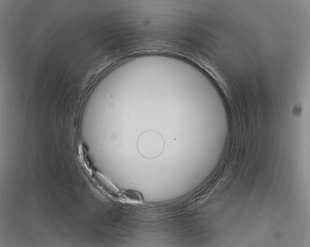 X0000116830489201001291646