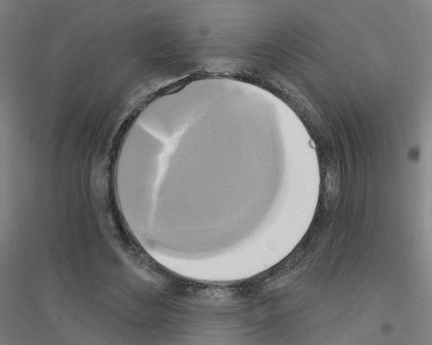 X0000116830492201001291646