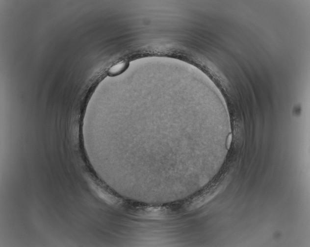 X0000116830493201001291646