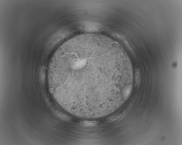 X0000116830495201001291646