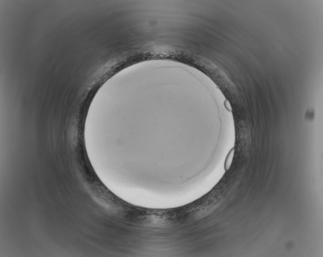 X0000116830496201001291646