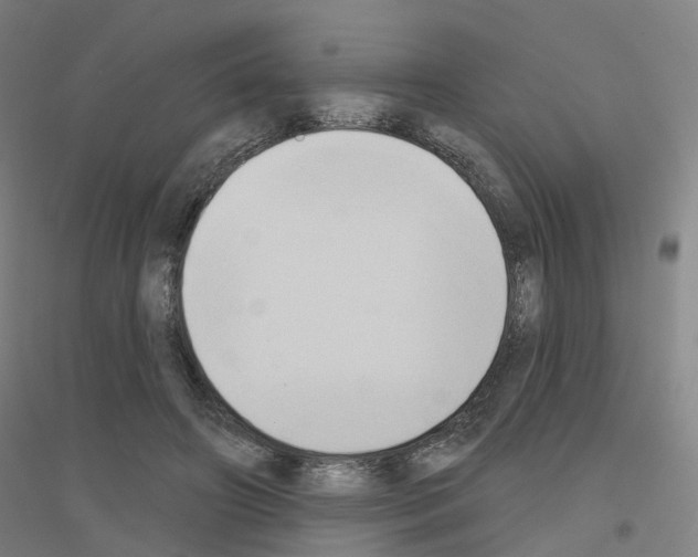 X0000116830498201001291646